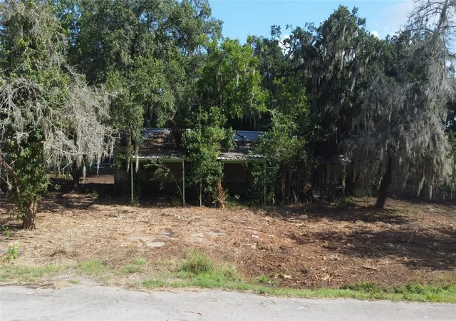 Photo 3 of Land for sale at 1511 County Rd 244c, Brazoria, TX 77422 | MLS# 5243761 | Listing updated on 2026-09-14