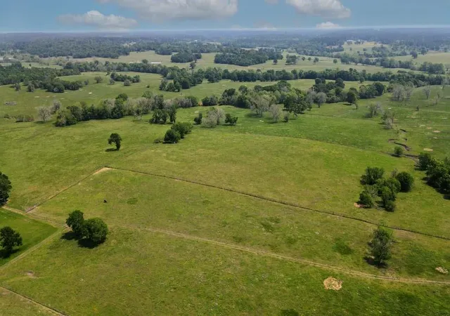 1st image of Tract #6 Cr 305 Rd, Navasota, TX 77868 | MLS# 17380104