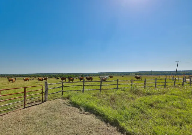 9th image of Tract #6 Cr 305 Rd, Navasota, TX 77868 | MLS# 17380104