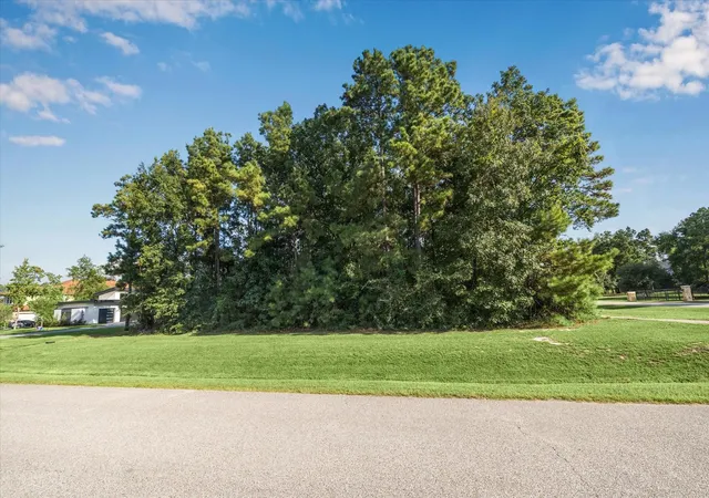Photo 3 of Land for sale at 4502 Siandra Creek Ct, Spring, TX 77386 | MLS# 45675430 | Listing updated on 2026-08-21