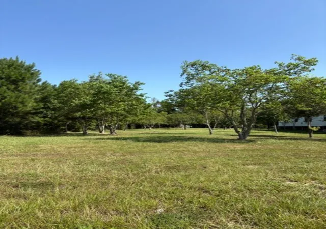 Photo 1 of Land for sale at 2377 County Rd 3550, Cleveland, TX 77327 | MLS# 15926653 | Listing updated on 2026-08-21