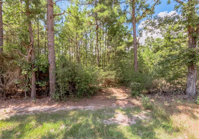 Photo 1 of Sale Pending at Fm 355, Trinity, TX 75862 | MLS# 40695697 | Listing updated on 2026-09-28