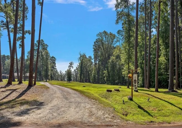 2nd image of 1601 County Road 489, Etoile, TX 75944 | MLS# 24184111