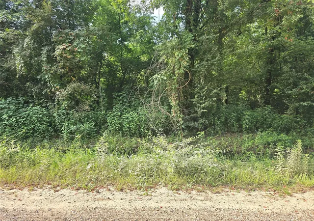 Photo 3 of Land for sale at 00 County Rd 2500, Liberty, TX 77575 | MLS# 62077492 | Listing updated on 2026-08-10