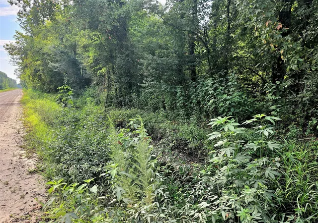Photo 3 of Land for sale at 00 County Rd 2500, Liberty, TX 77575 | MLS# 62077492 | Listing updated on 2026-08-10