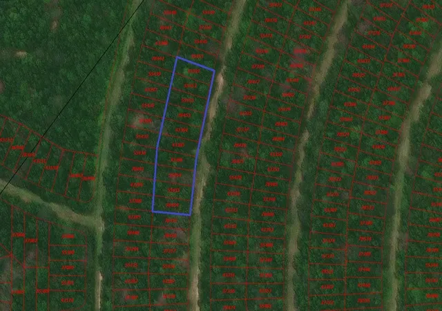 Photo 1 of Land for sale at 0 Wood Forest, Livingston, TX 77351 | MLS# 49164753 | Listing updated on 2026-08-26