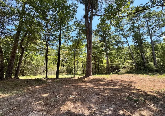 Photo 3 of Sale Pending at Tbd13 Sparrow, Trinity, TX 75862 | MLS# 38292906 | Listing updated on 2026-09-17