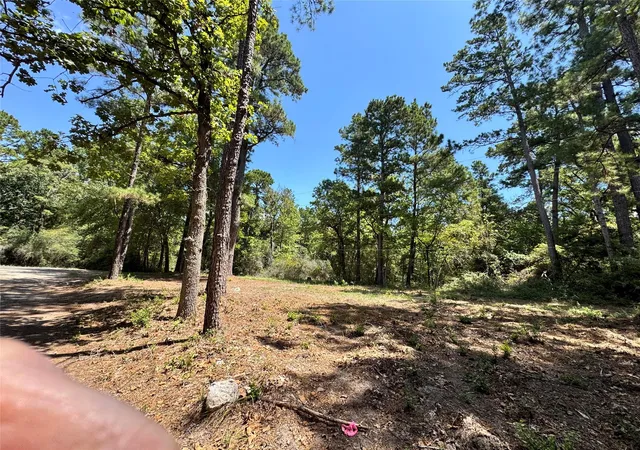 Photo 4 of Sale Pending at Tbd13 Sparrow, Trinity, TX 75862 | MLS# 38292906 | Listing updated on 2026-09-17