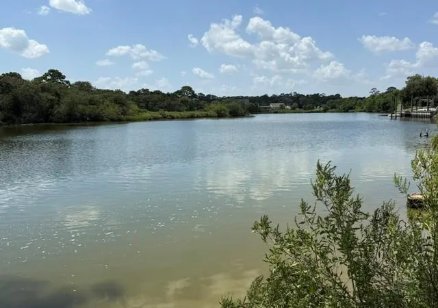 9th image of 4420 Leslies Wy, Dickinson, TX 77539 | MLS# 36071839