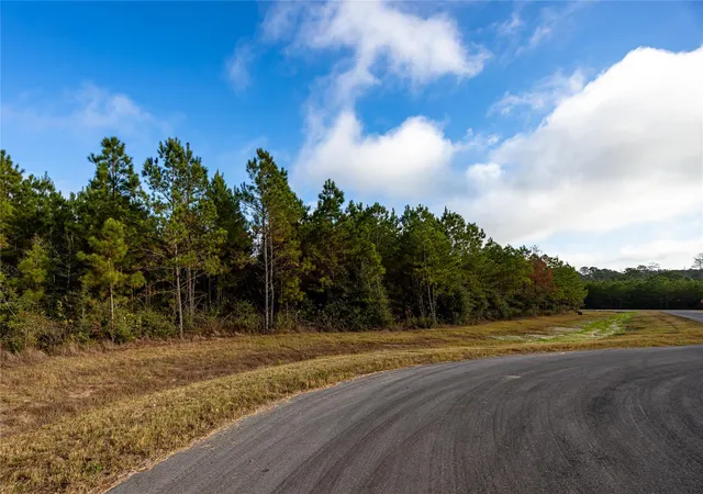 3rd image of 10517 Legends Rd, Willis, TX 77378 | MLS# 78145446