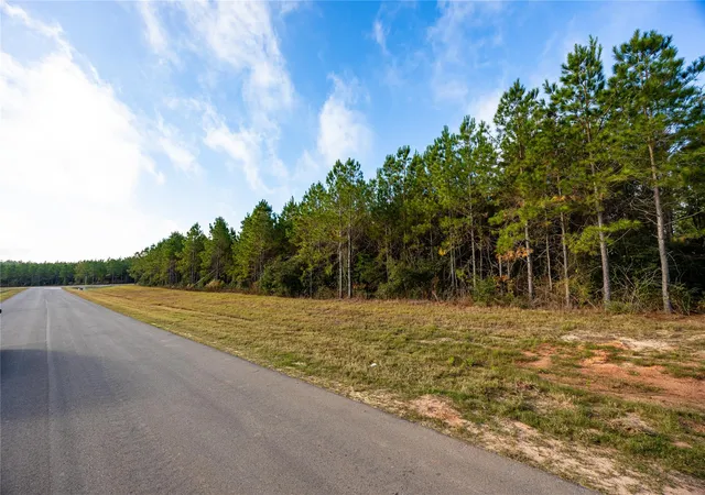 4th image of 10517 Legends Rd, Willis, TX 77378 | MLS# 78145446