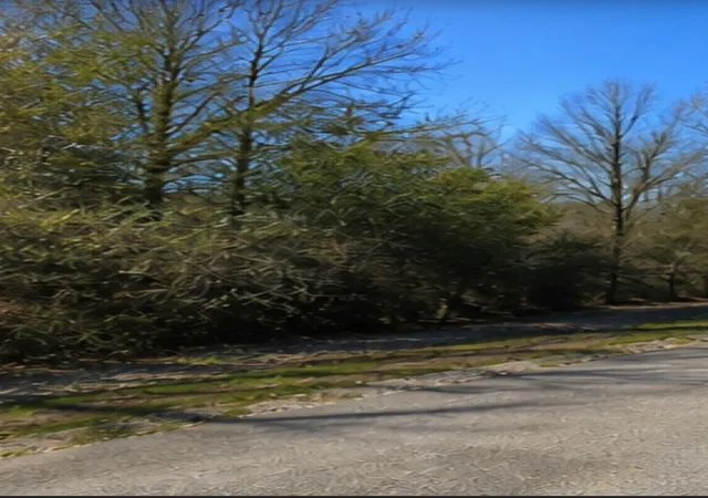 Photo 1 of Land for sale at 0 Hilltop Rd, Kendleton, TX 77435 | MLS# 41222239 | Listing updated on 2026-08-11