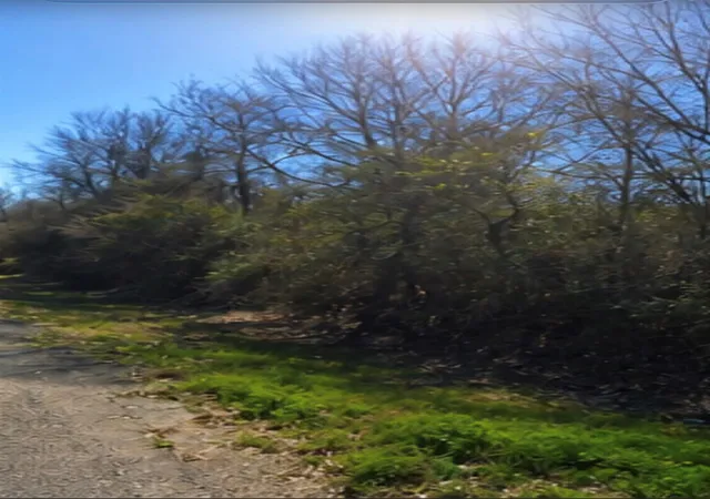 Photo 2 of Land for sale at 0 Hilltop Rd, Kendleton, TX 77435 | MLS# 41222239 | Listing updated on 2026-08-11