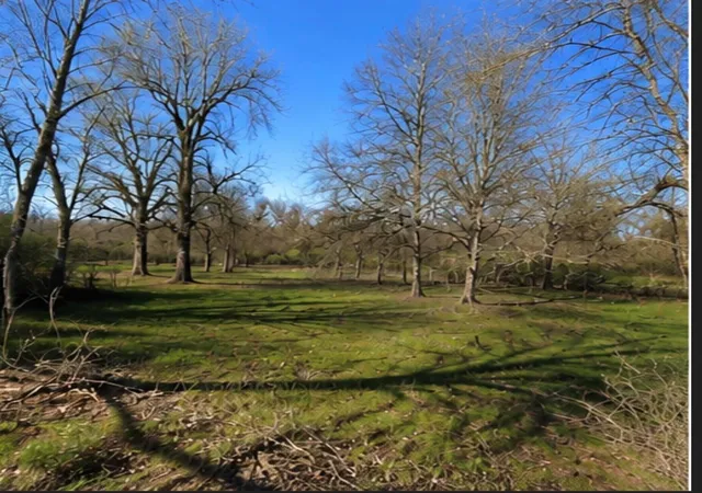 Photo 3 of Land for sale at 0 Hilltop Rd, Kendleton, TX 77435 | MLS# 41222239 | Listing updated on 2026-08-11