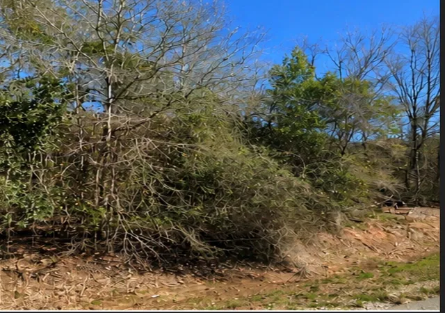 Photo 3 of Land for sale at 0 Hilltop Rd, Kendleton, TX 77435 | MLS# 41222239 | Listing updated on 2026-08-11