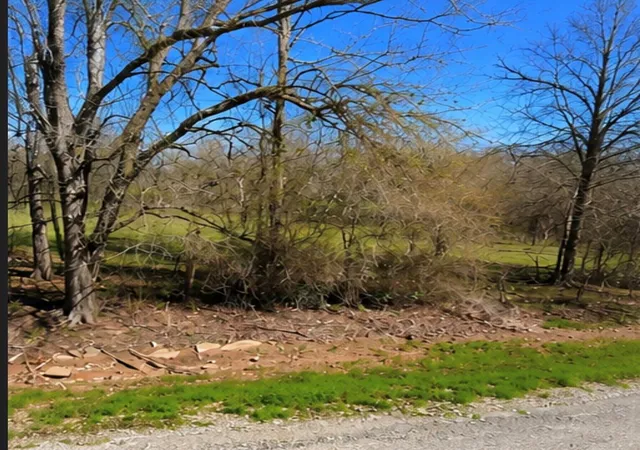 Photo 4 of Land for sale at 0 Hilltop Rd, Kendleton, TX 77435 | MLS# 41222239 | Listing updated on 2026-08-11
