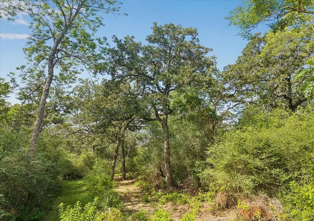 Land for sale at 0002 Highway 159 W, Bellville, TX 77418 | MLS# 72916739