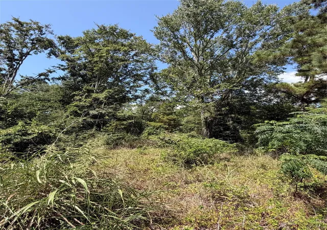 Photo 3 of Land for sale at 175 Hanson Rd, Onalaska, TX 77360 | MLS# 18017861 | Listing updated on 2026-08-24