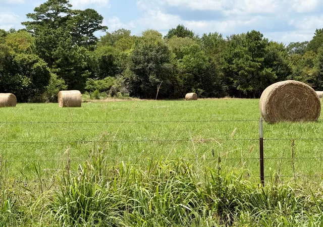 10th image of Tbd N Us Hwy 287 / Old Latexo Road, Crockett, TX 75835 | MLS# 88214002
