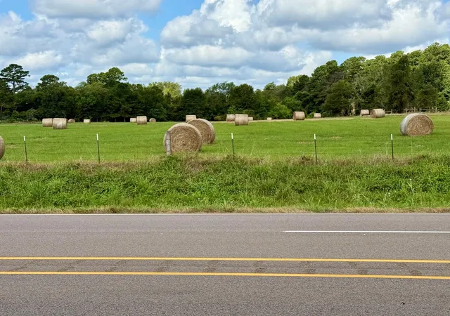 5th image of Tbd N Us Hwy 287 / Old Latexo Road, Crockett, TX 75835 | MLS# 88214002