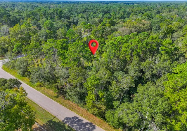 2nd image of 11855 Magnolia Bend Dr, Conroe, TX 77302 | MLS# 70958057