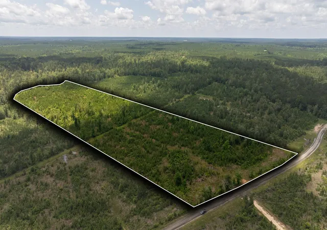 1st image of Tbd 18 Cr 4210, Woodville, TX 75979 | MLS# 84524131
