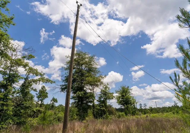 2nd image of Tbd 18 Cr 4210, Woodville, TX 75979 | MLS# 84524131