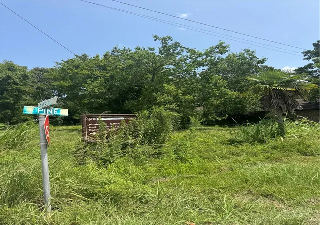20th image of 501 Bobcat Ln, Daisetta, TX 77533 | MLS# 39360660