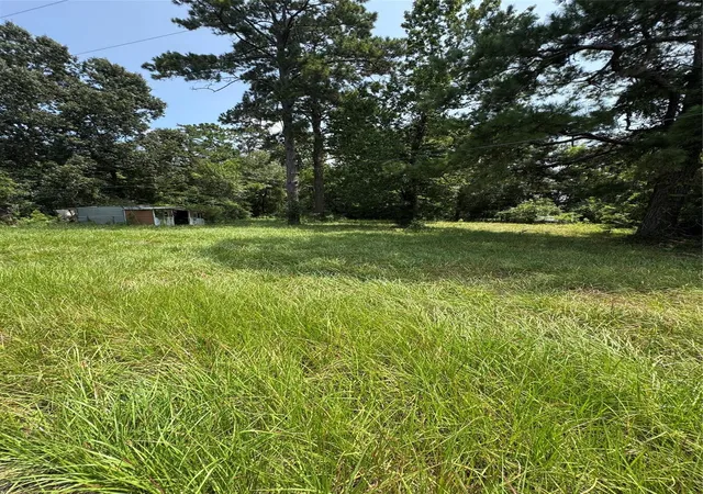 5th image of 501 Bobcat Ln, Daisetta, TX 77533 | MLS# 39360660