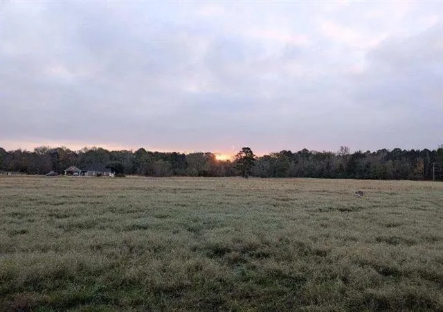 50th image of 202 Cr 1418, Quitman, TX 75783 | MLS# 52978889