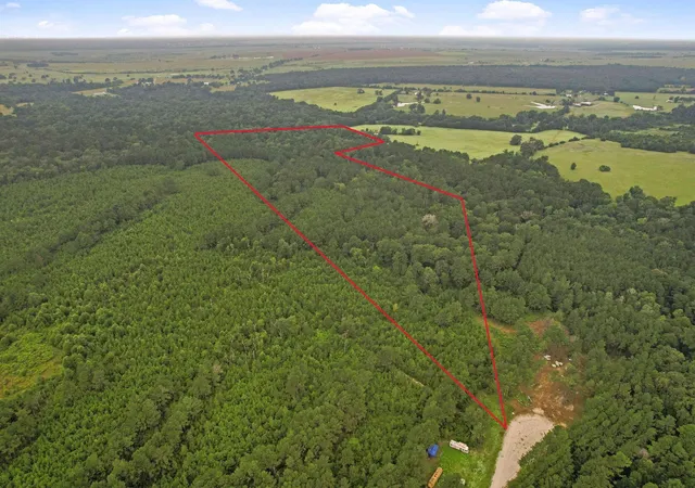15th image of Tract 12 Fm 230, Trinity, TX 75862 | MLS# 88459679
