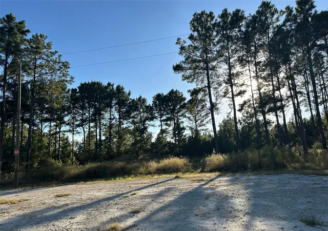 1st image of Tract 12 Fm 230, Trinity, TX 75862 | MLS# 88459679