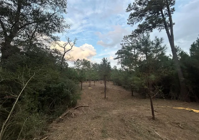 2nd image of Tract 12 Fm 230, Trinity, TX 75862 | MLS# 88459679