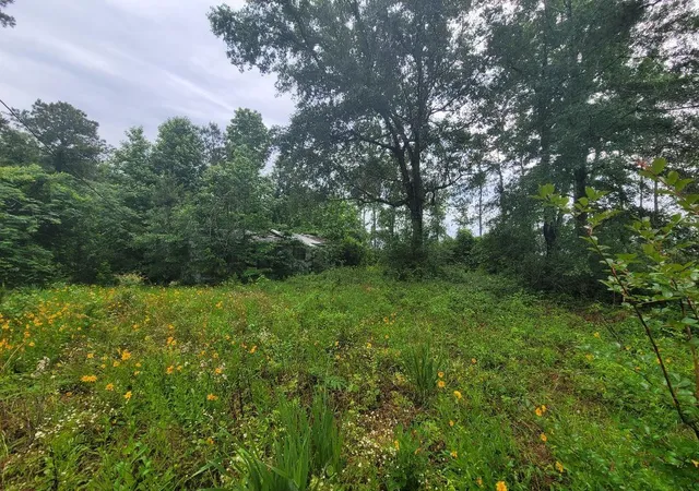 1st image of 0000 Fm 1012, Newton, TX 75966 | MLS# 10628488
