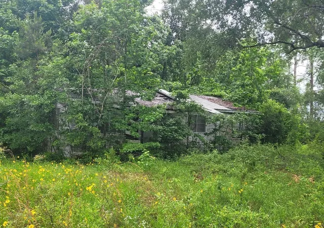 2nd image of 0000 Fm 1012, Newton, TX 75966 | MLS# 10628488