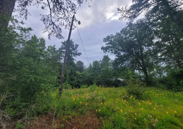 4th image of 0000 Fm 1012, Newton, TX 75966 | MLS# 10628488