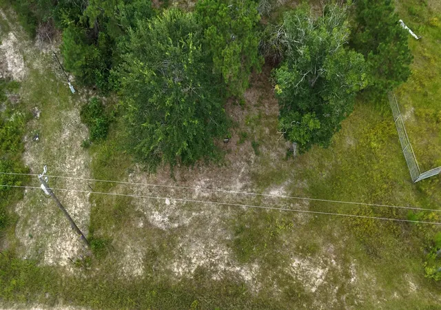 Photo 3 of Land for sale at 0 Tom Marsh Rd, Livingston, TX 77351 | MLS# 12793176 | Listing updated on 2026-08-17