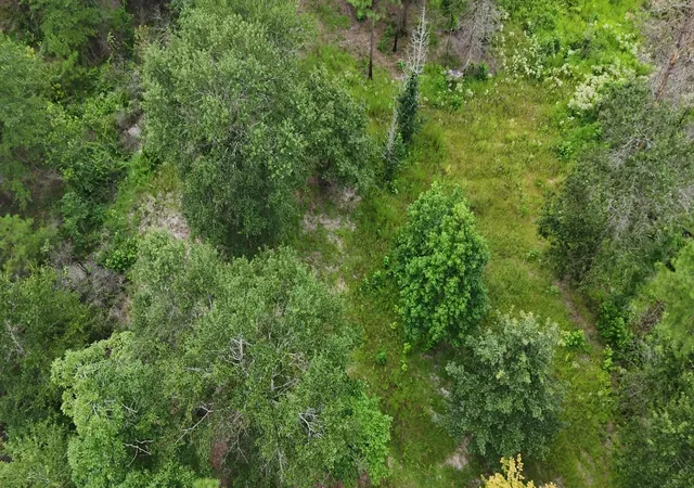 Photo 3 of Land for sale at 0 Tom Marsh Rd, Livingston, TX 77351 | MLS# 12793176 | Listing updated on 2026-08-17