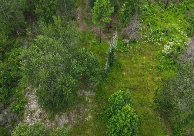 Photo 4 of Land for sale at 0 Tom Marsh Rd, Livingston, TX 77351 | MLS# 12793176 | Listing updated on 2026-08-17
