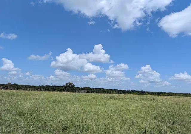 Photo 1 of Land for sale at 0011 County Rd 115, Bedias, TX 77831 | MLS# 28638823 | Listing updated on 2026-08-17