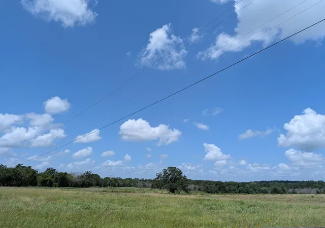 Photo 2 of Land for sale at 0011 County Rd 115, Bedias, TX 77831 | MLS# 28638823 | Listing updated on 2026-08-17
