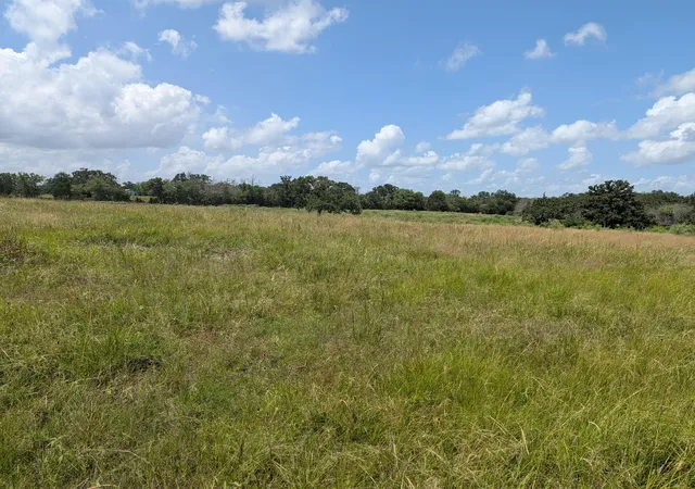Photo 3 of Land for sale at 0011 County Rd 115, Bedias, TX 77831 | MLS# 28638823 | Listing updated on 2026-08-17