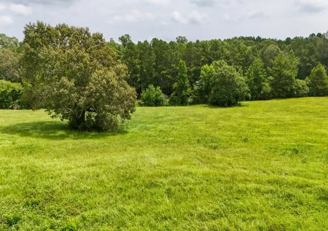 1st image of 00 County Rd 2780, Colmesneil, TX 75938 | MLS# 58859068