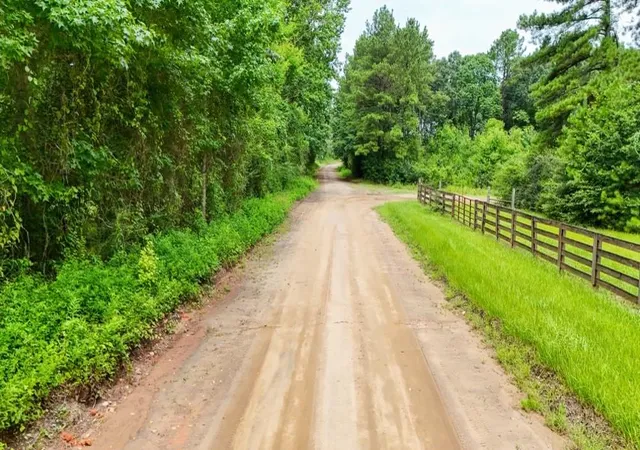 2nd image of 00 County Rd 2780, Colmesneil, TX 75938 | MLS# 58859068