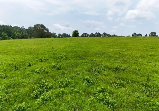 50th image of 00 County Rd 2780, Colmesneil, TX 75938 | MLS# 58859068