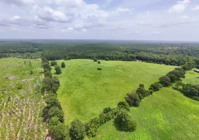 5th image of 00 County Rd 2780, Colmesneil, TX 75938 | MLS# 58859068