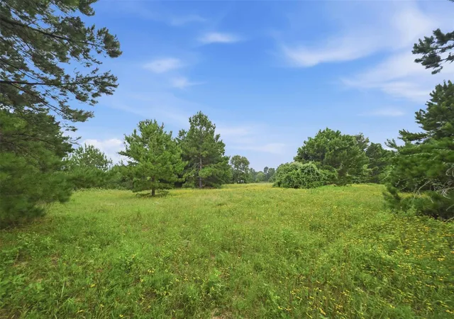 5th image of 8651 Pr 1230, Centerville, TX 75833 | MLS# 48209027