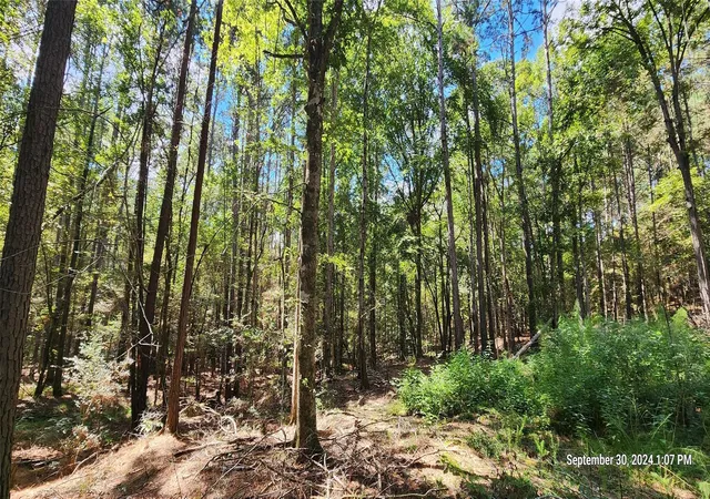 1st image of Tbd County Road 405, San Augustine, TX 75972 | MLS# 72165624