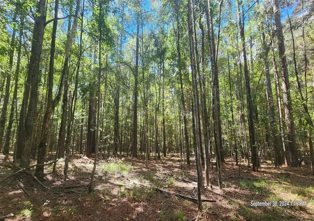 2nd image of Tbd County Road 405, San Augustine, TX 75972 | MLS# 72165624