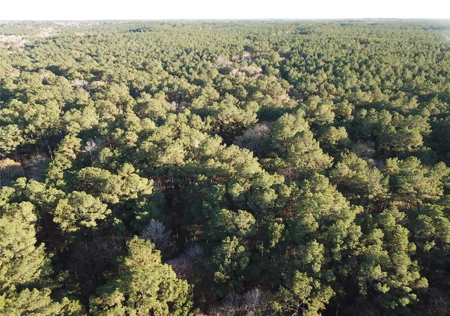image of Tbd County Road 405, San Augustine, TX 75972 | MLS# 72165624